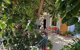 Albi'S Guesthouse