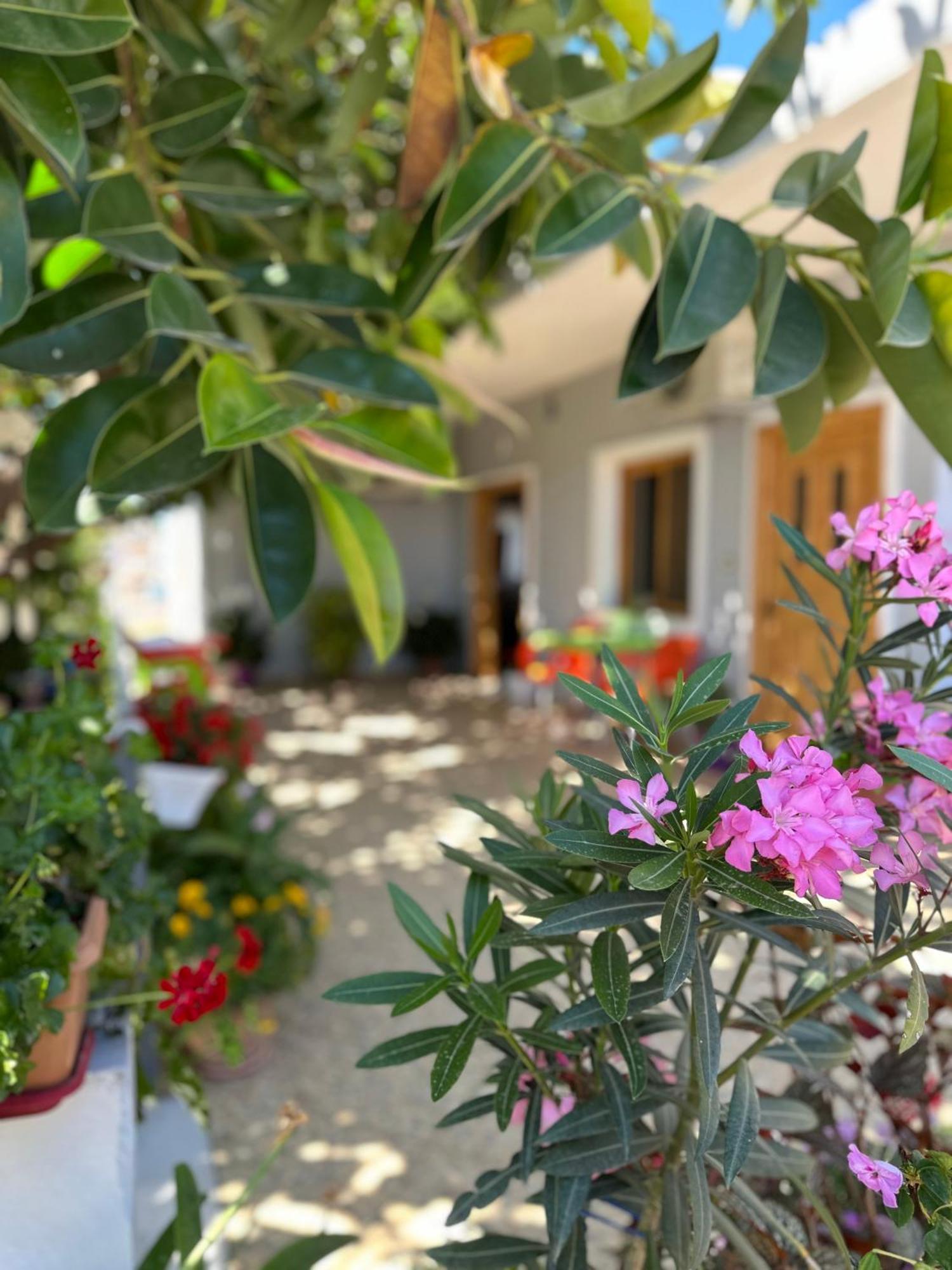 Albi'S Guesthouse Ksamil Zewnętrze zdjęcie