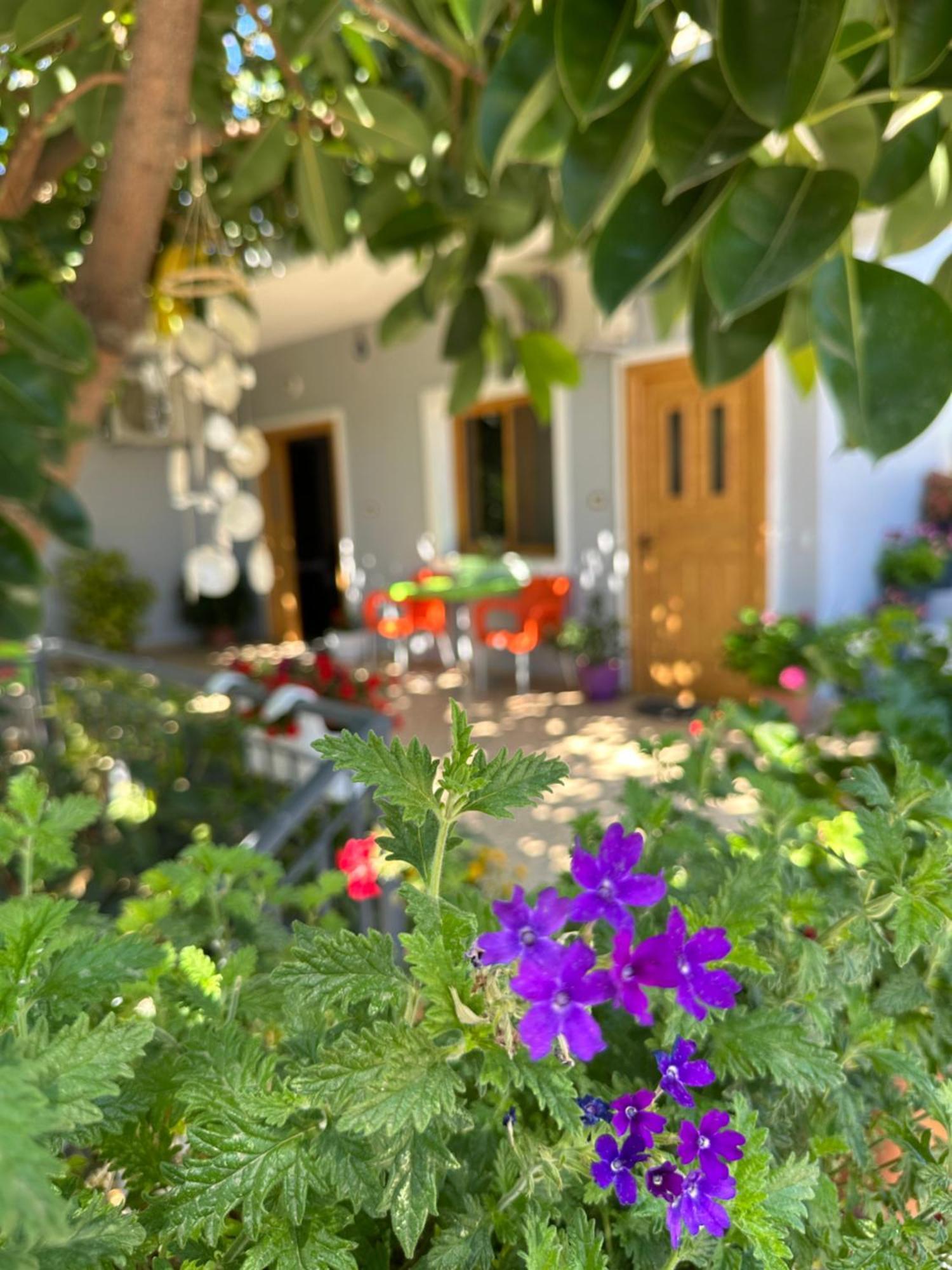 Albi'S Guesthouse Ksamil Zewnętrze zdjęcie